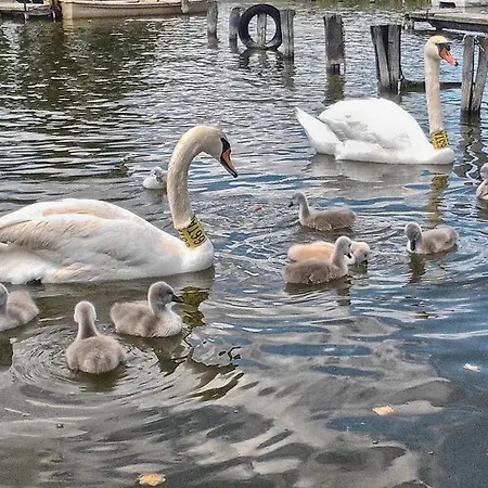 Family Feriehus Gárdony