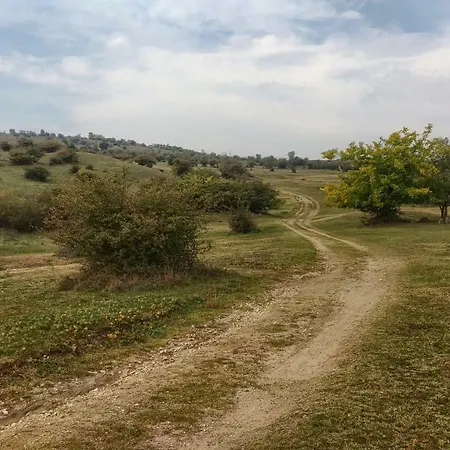 Case de vacanță Family *